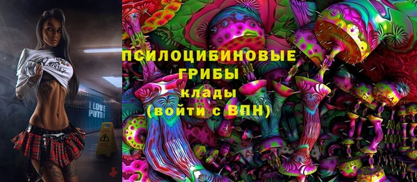 бошки Абаза